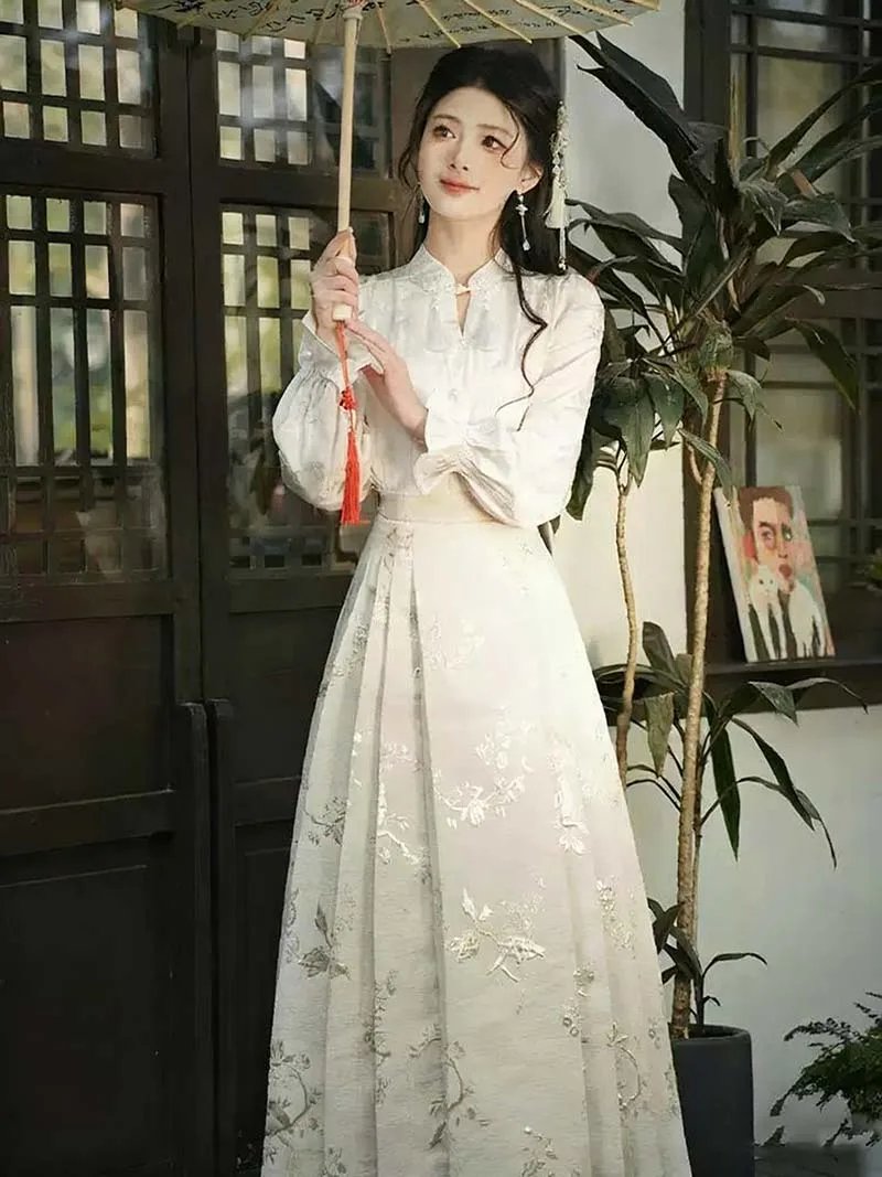 Chinese Mamian Skirt set, modern Ming-style Hanfu top and skirt for autumn daily wear