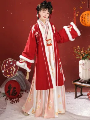 Traditional Chinese clothing female hanfu Song style fur collar outerwear